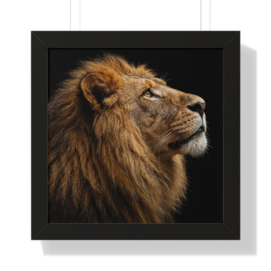 Framed Art Print – Lion In Colour