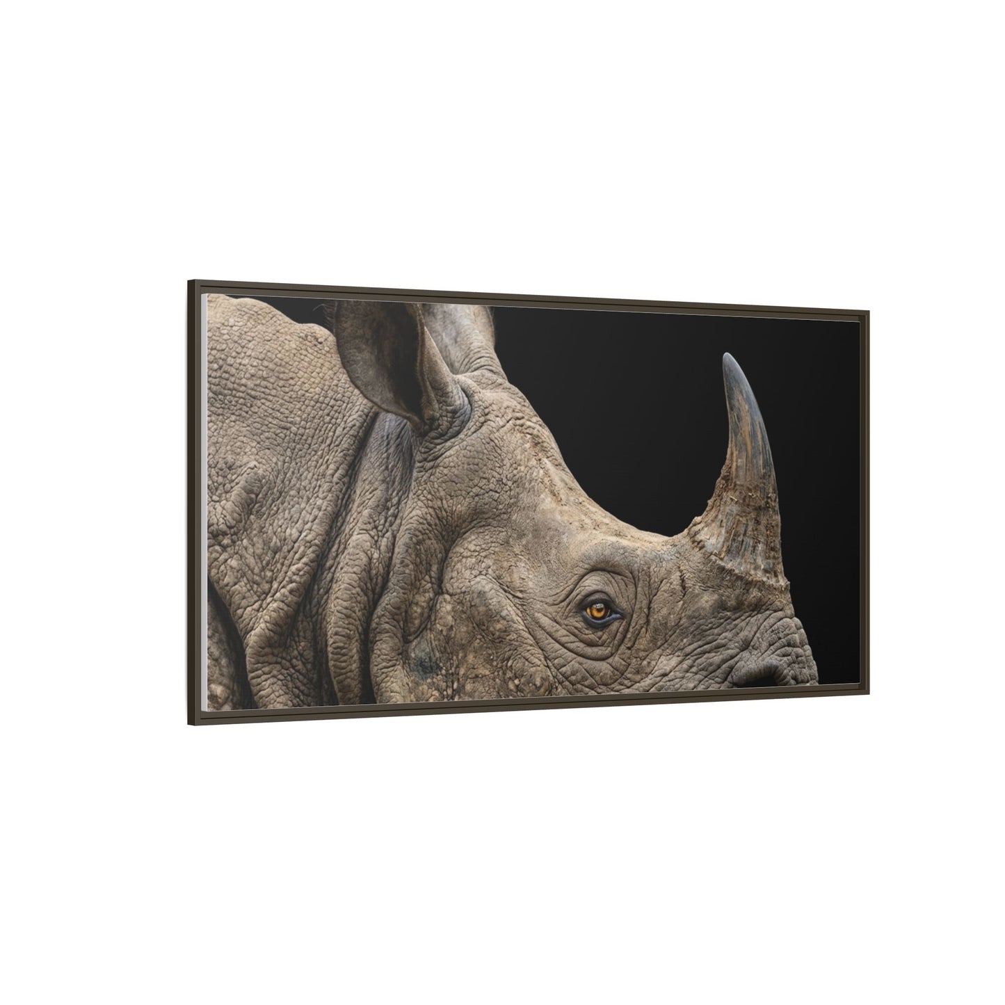 Framed Canvas Print — Rhinoceros In Colour