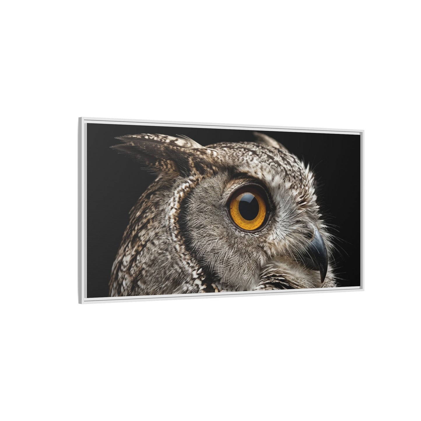 Framed Canvas Print — Scops Owl In Colour
