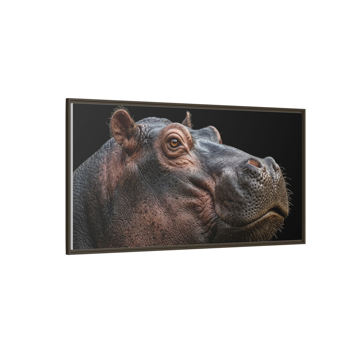 Framed Canvas Print — Hippopotamos In Colour