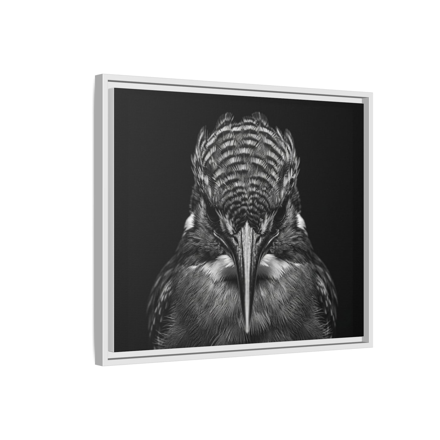 Framed Canvas Print — Malachite Kingfisher In Black