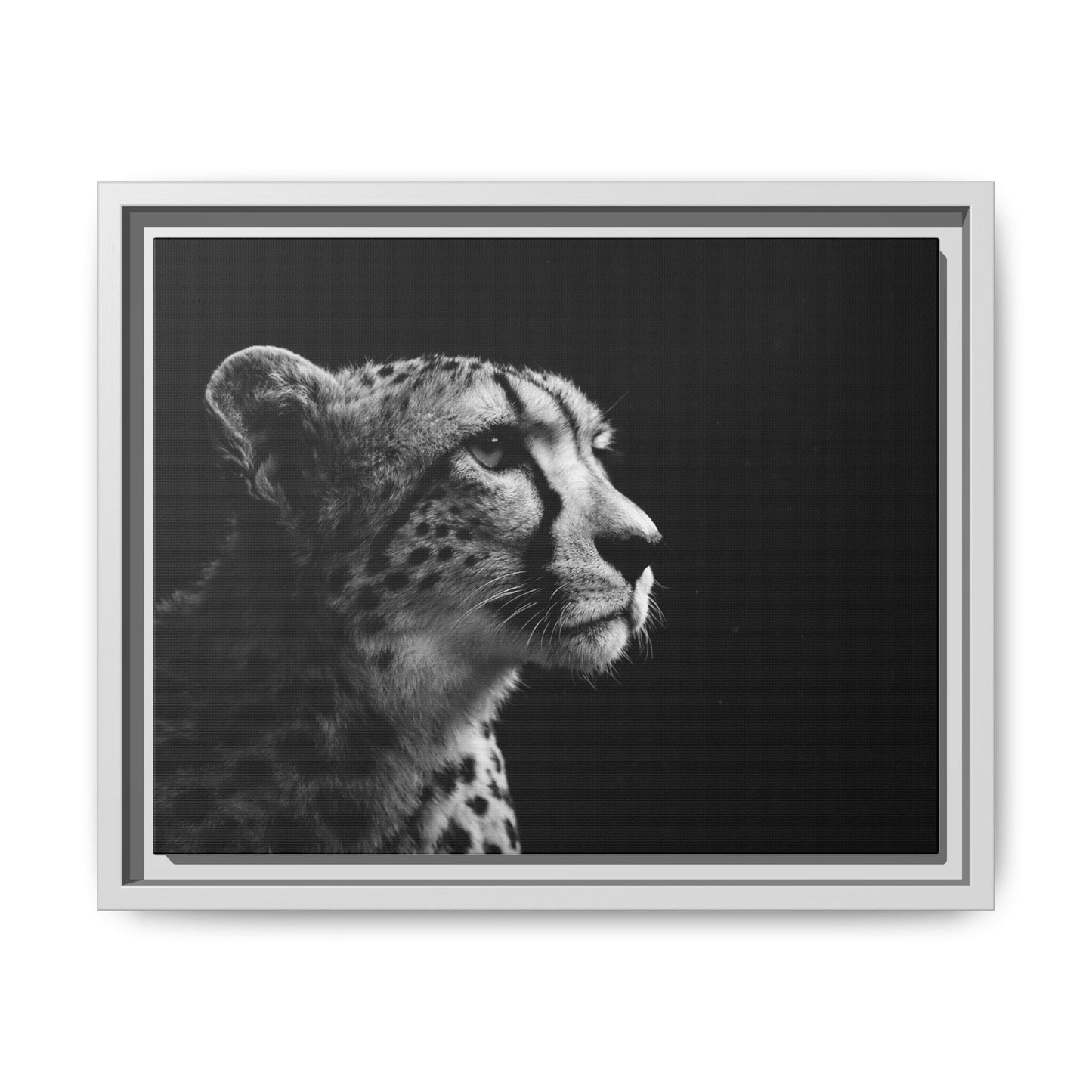 Framed Canvas Print — Cheetah Gaze