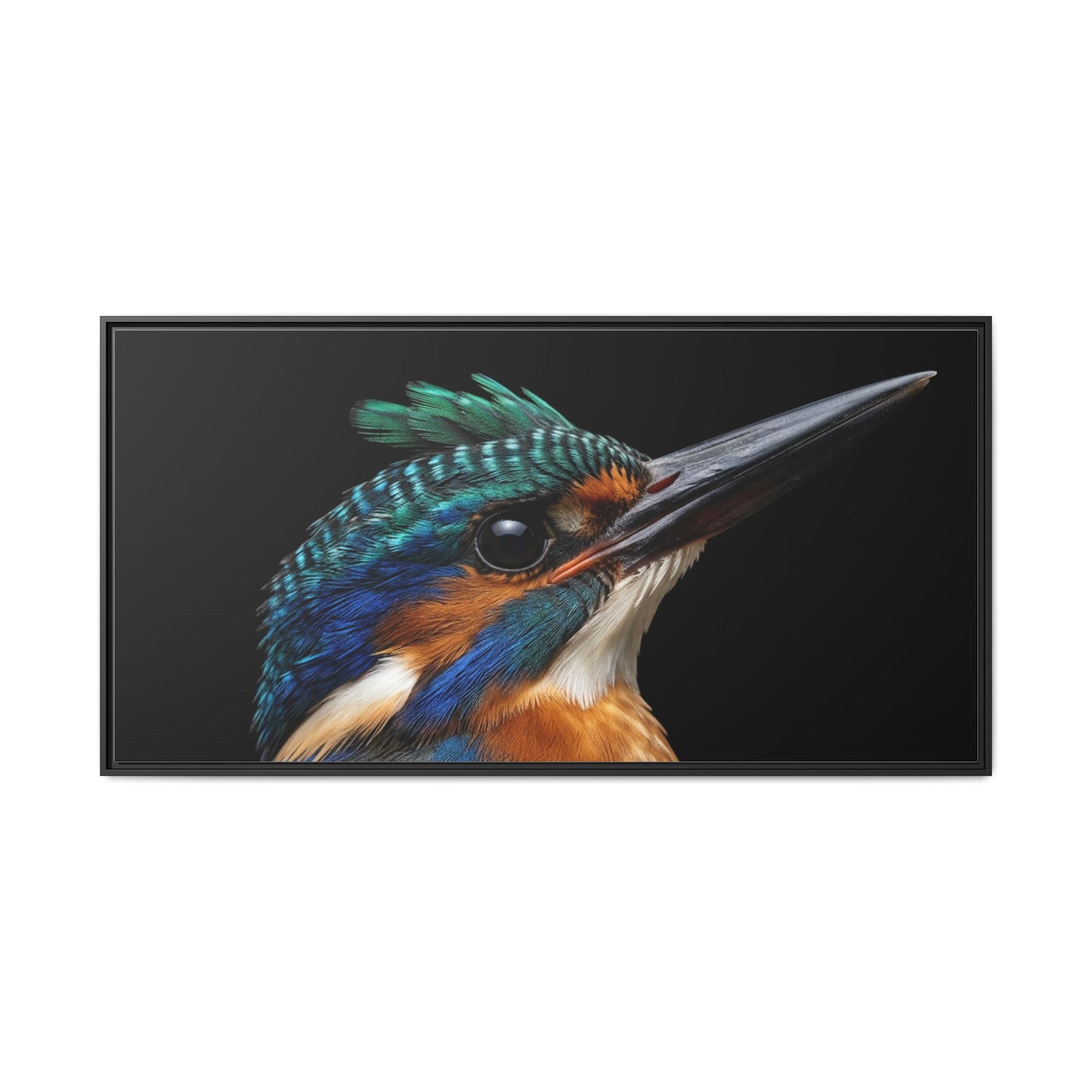 Framed Canvas Print — Malachite Kingfisher In Colour