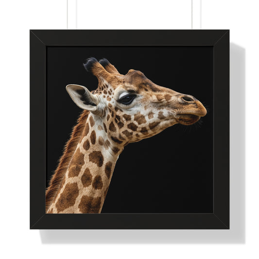 Framed Art Print – Giraffe In Colour