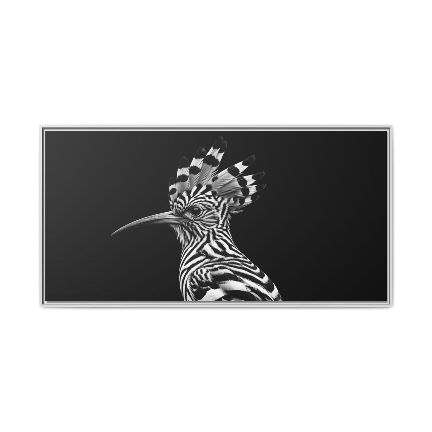 Framed Canvas Print — Afrikan Hoopoe In Black