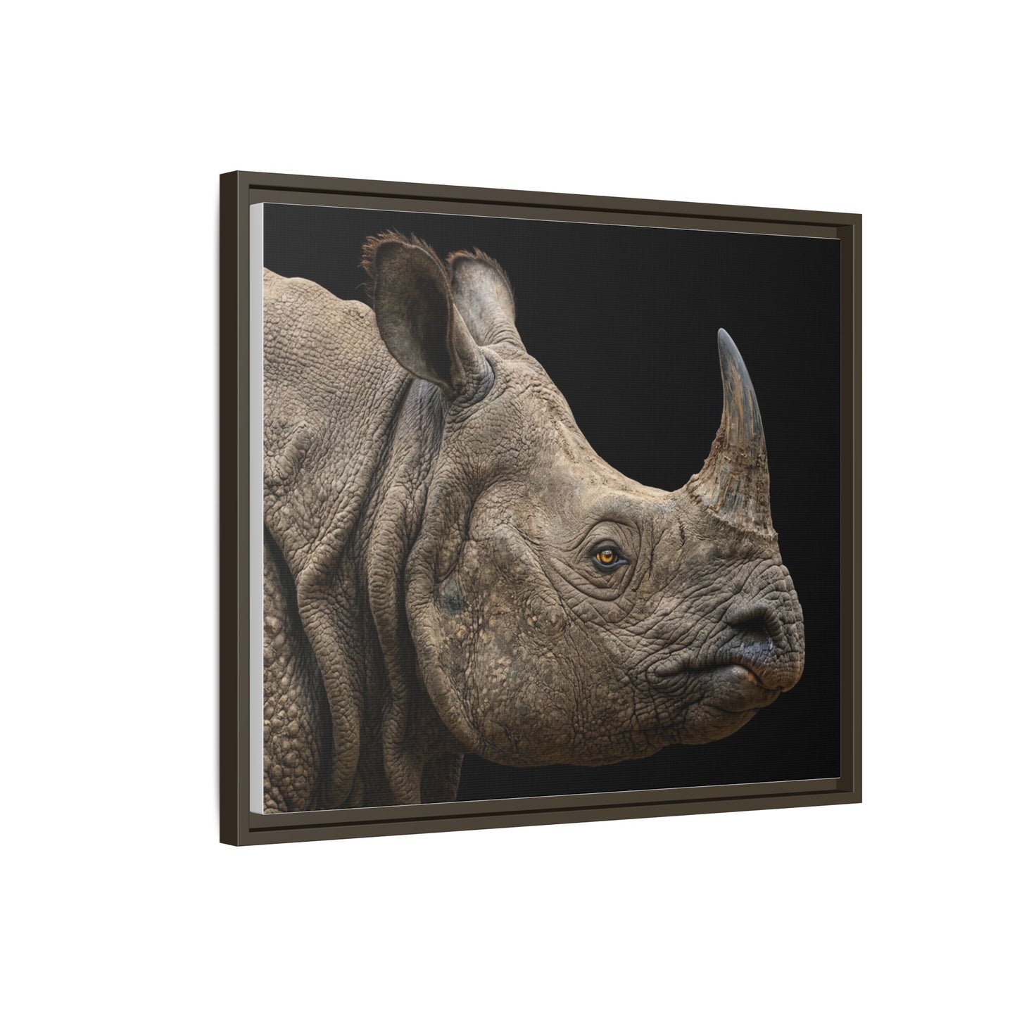 Framed Canvas Print — Rhinoceros In Colour