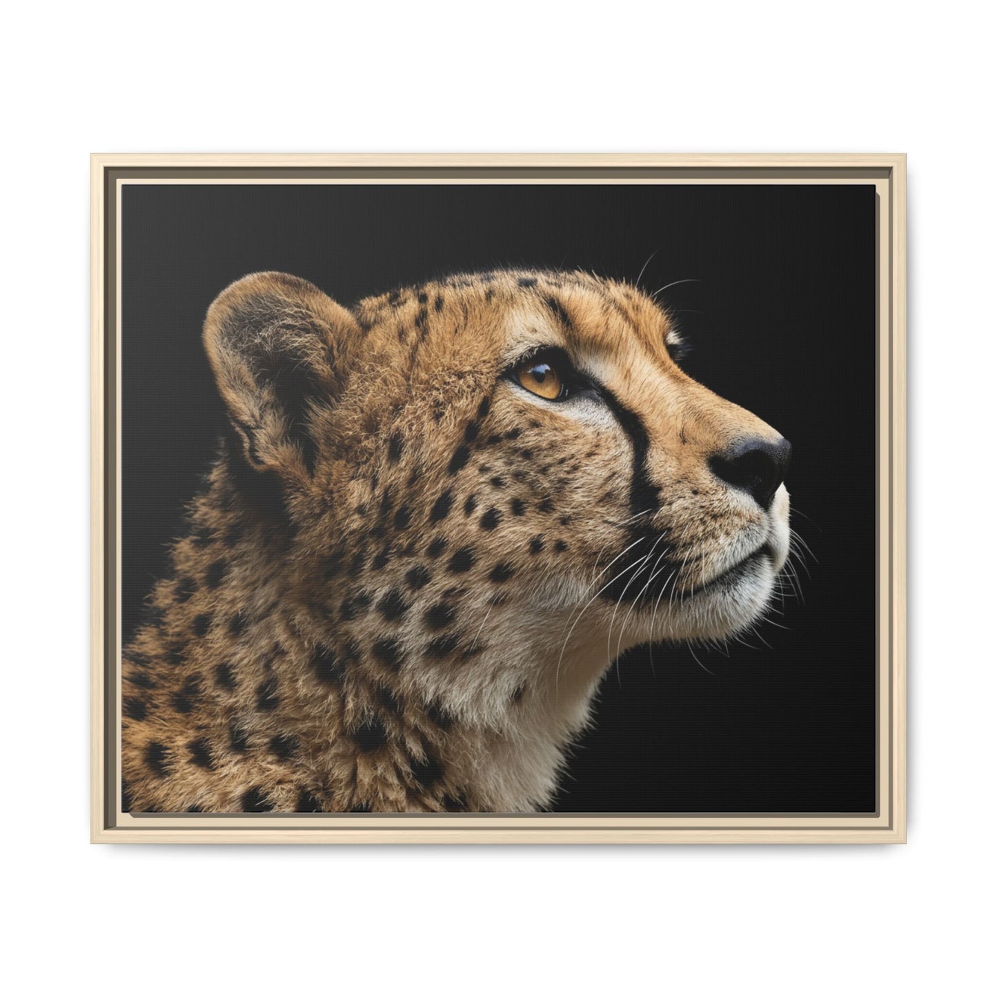 Framed Canvas Print — Cheetah In Colour