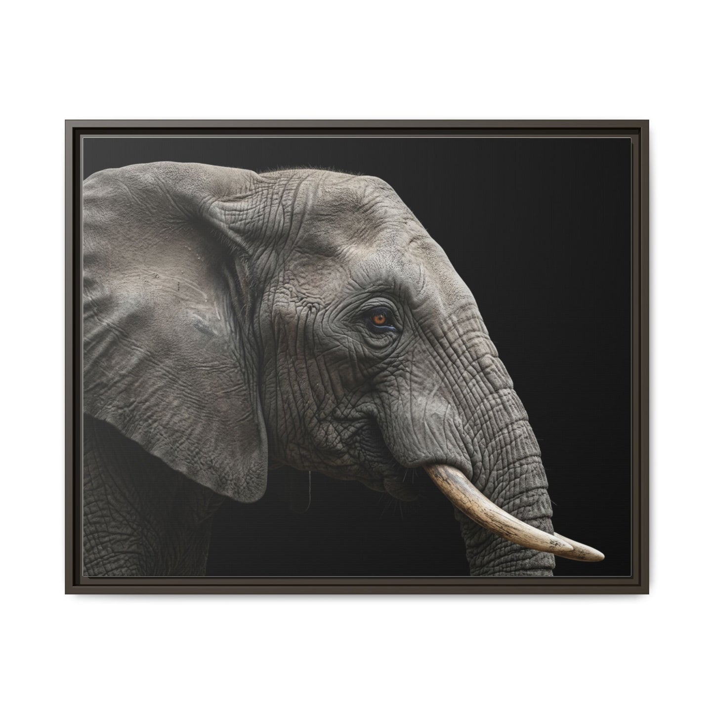 Framed Canvas Print — Elephant In Colour