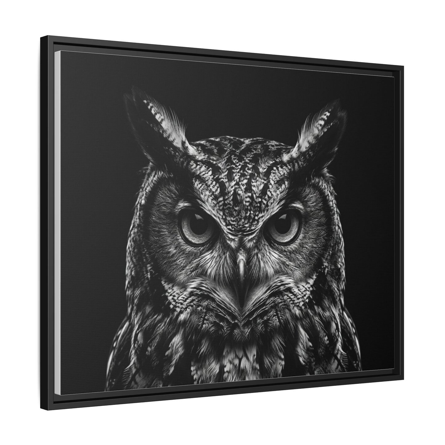 Framed Canvas Print — Scops Owl In Black