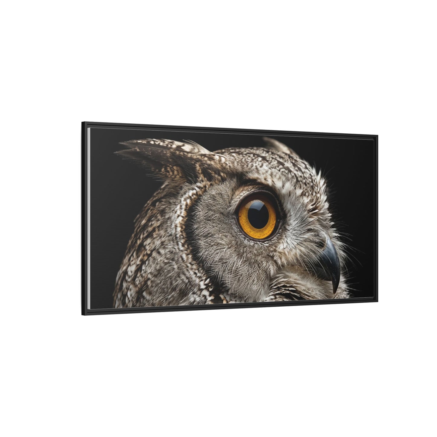 Framed Canvas Print — Scops Owl In Colour