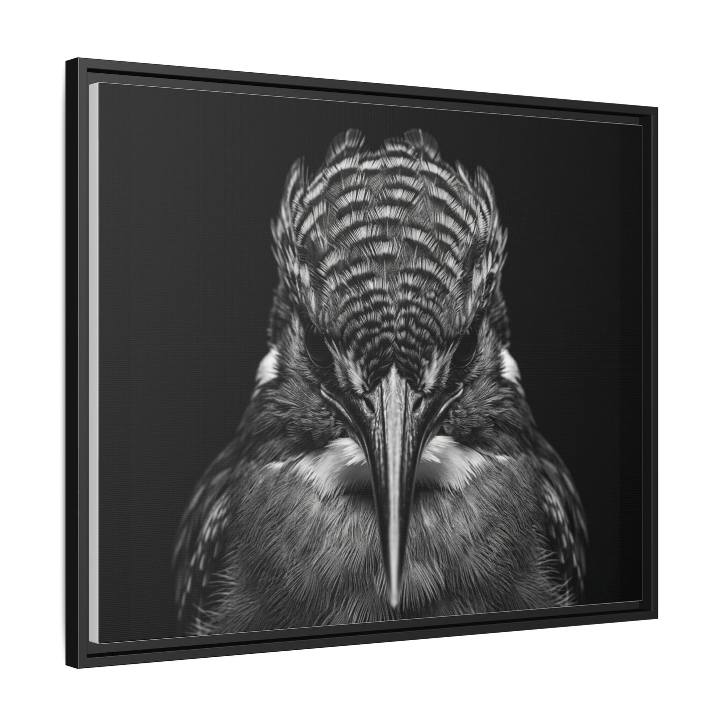 Framed Canvas Print — Malachite Kingfisher In Black