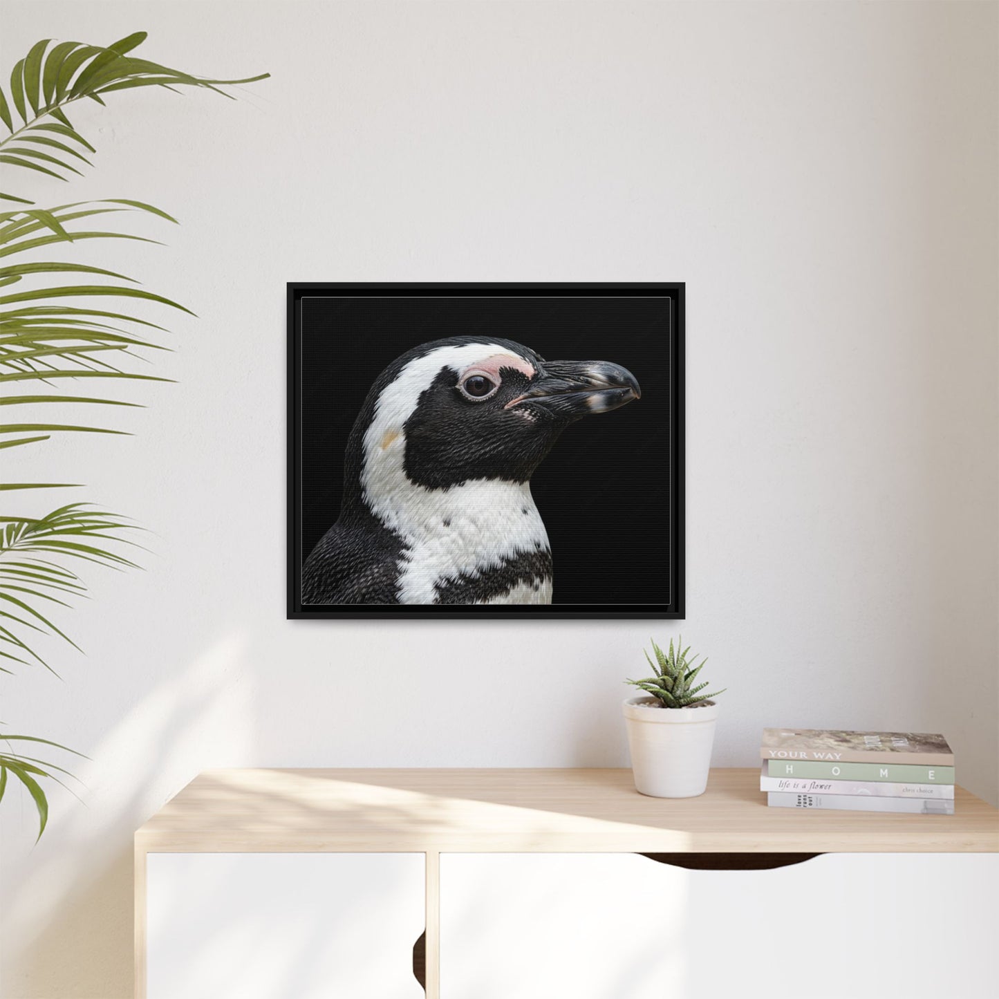 Framed Canvas Print — Afrikan Penguin In Colour