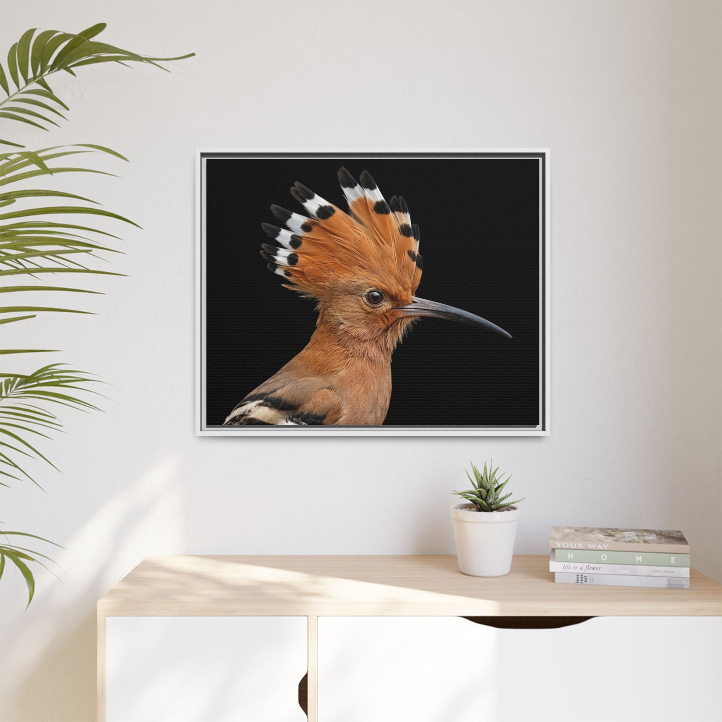 Framed Canvas Print — Afrikan Hoopoe In Colour