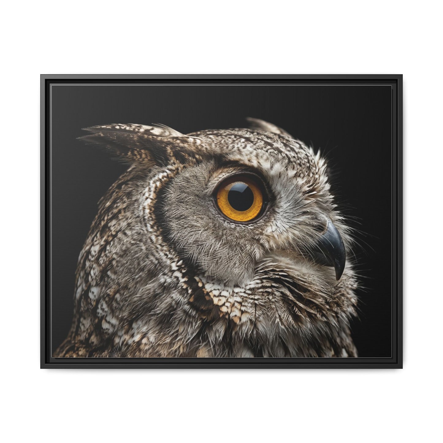 Framed Canvas Print — Scops Owl In Colour