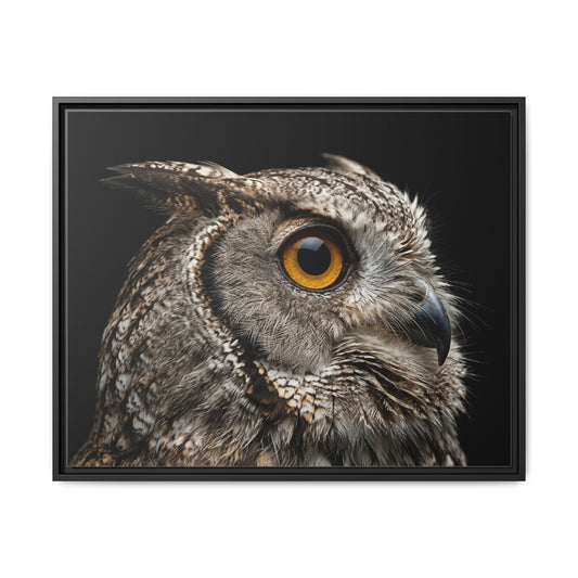 Framed Canvas Print — Scops Owl In Colour