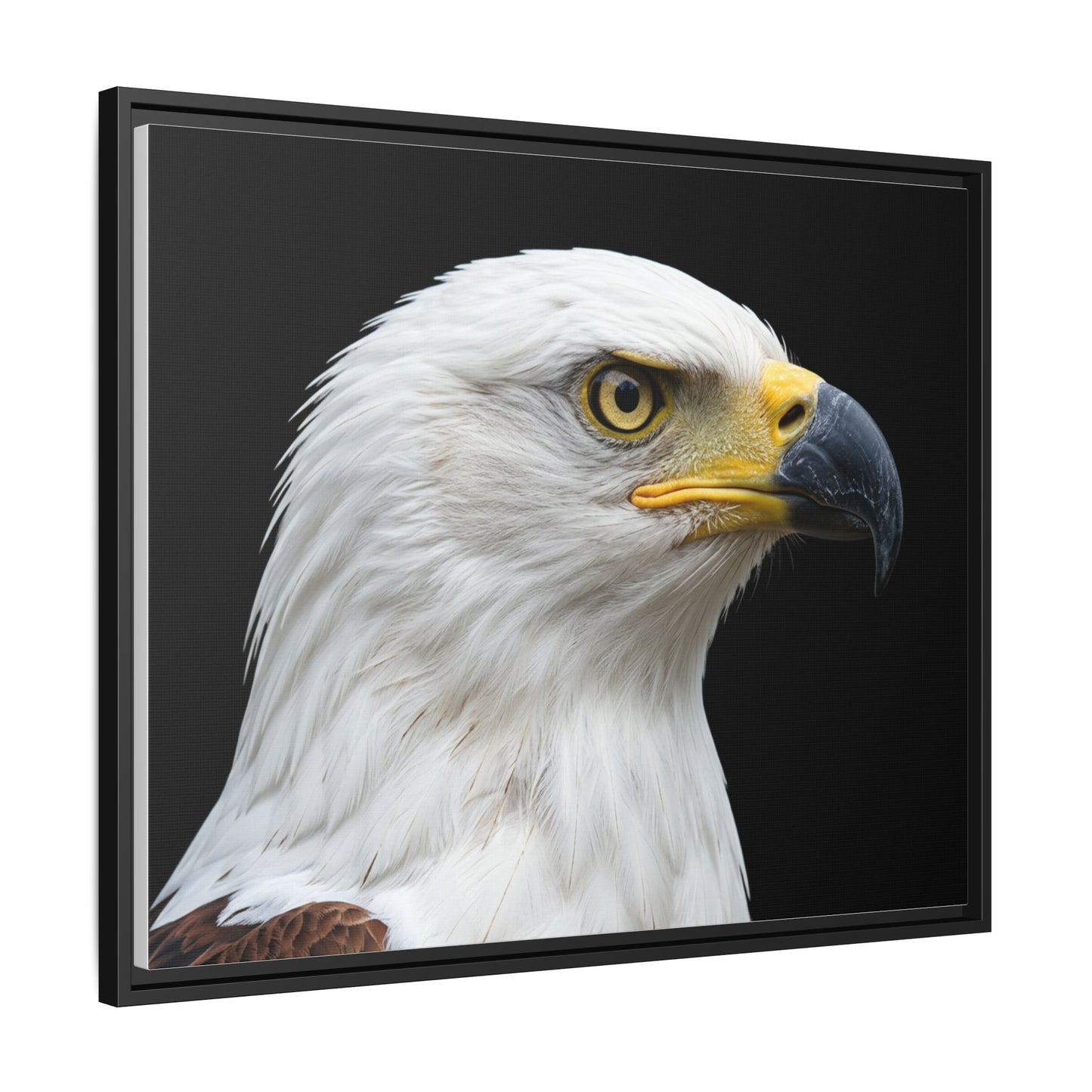 Framed Canvas Print — Fish Eagle In Colour