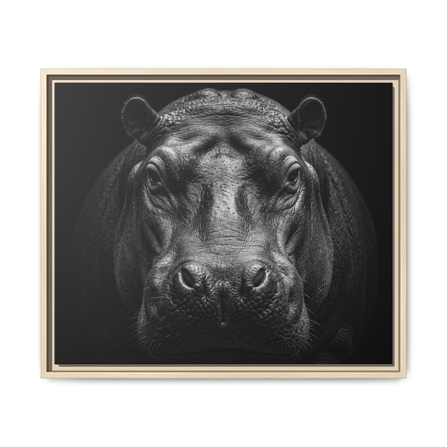 Framed Canvas Print — Hippopotamus In Black