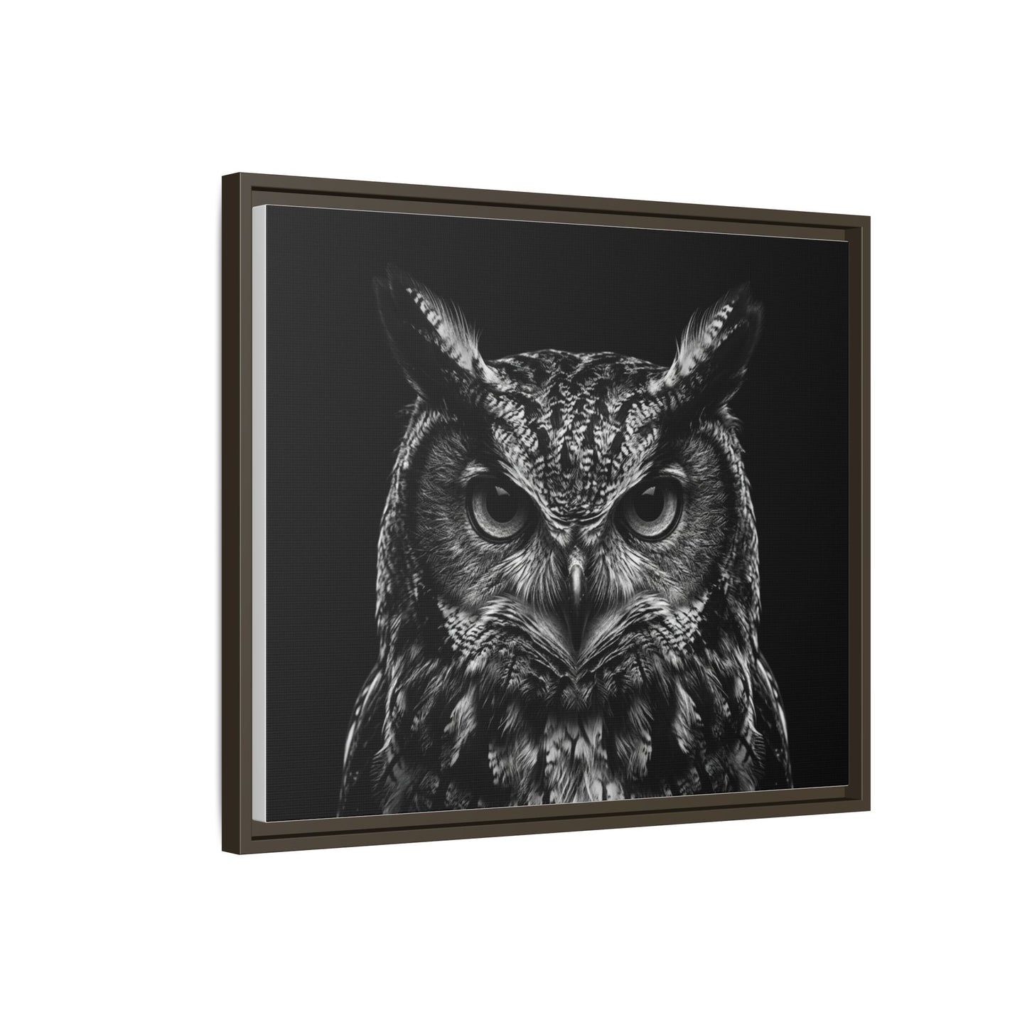 Framed Canvas Print — Scops Owl In Black