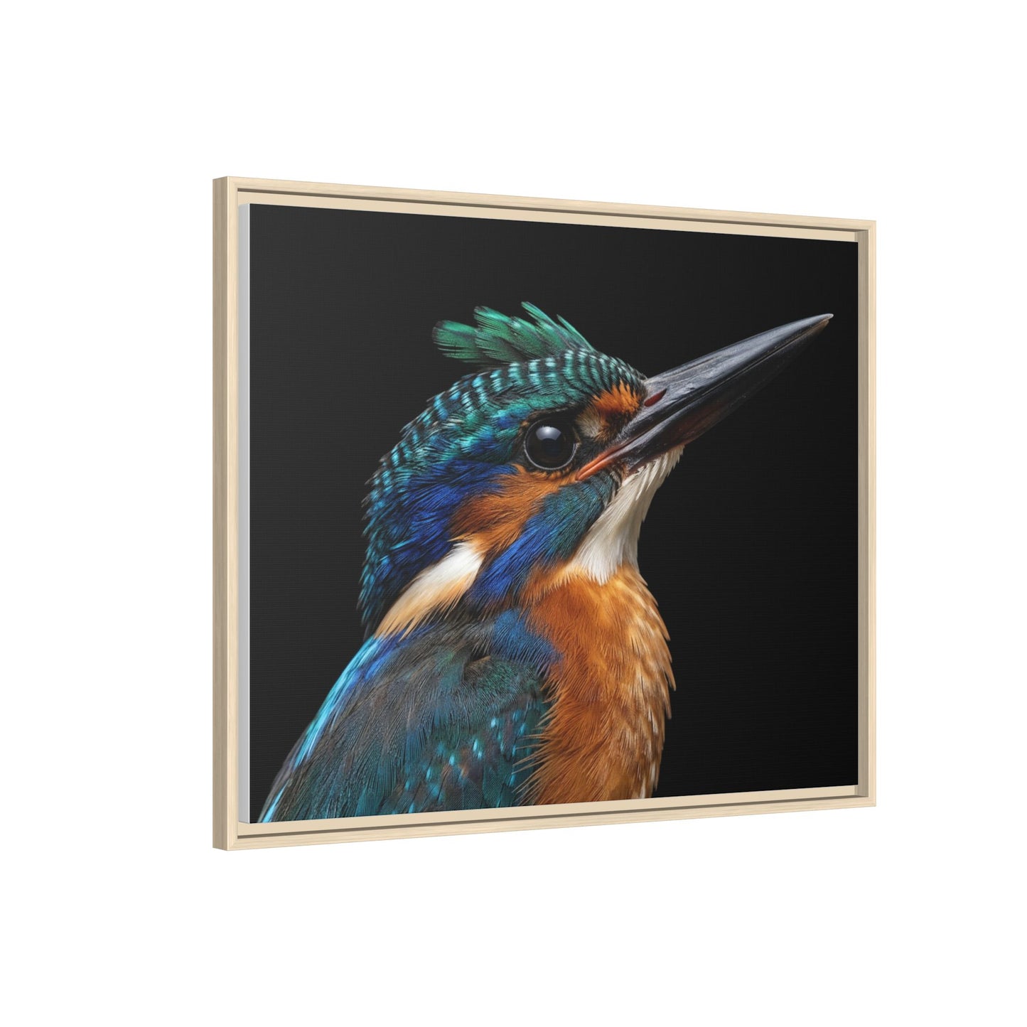 Framed Canvas Print — Malachite Kingfisher In Colour