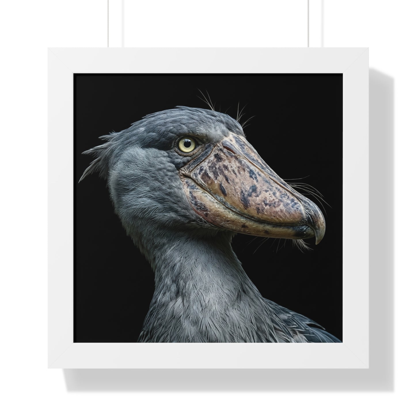 Framed Art Print – Shoebill Stork In Colour