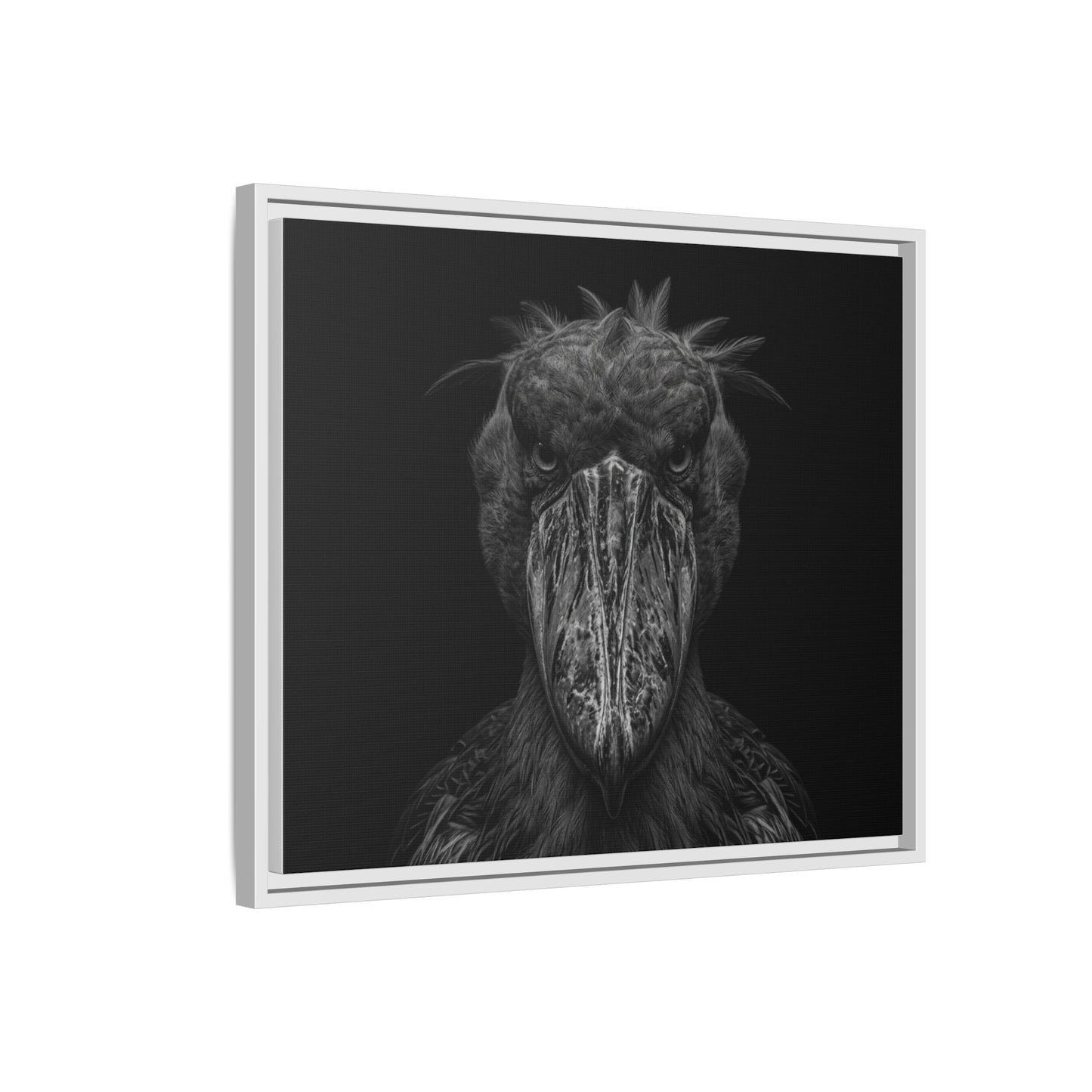 Framed Canvas Print — Shoebill Stock In Black