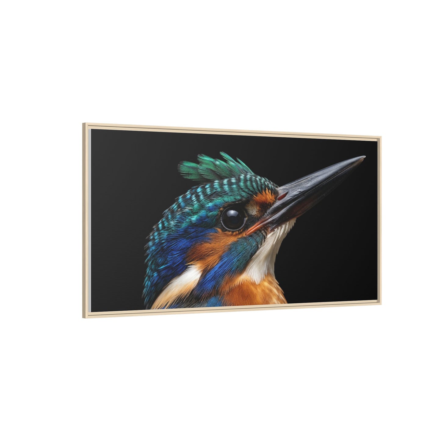 Framed Canvas Print — Malachite Kingfisher In Colour