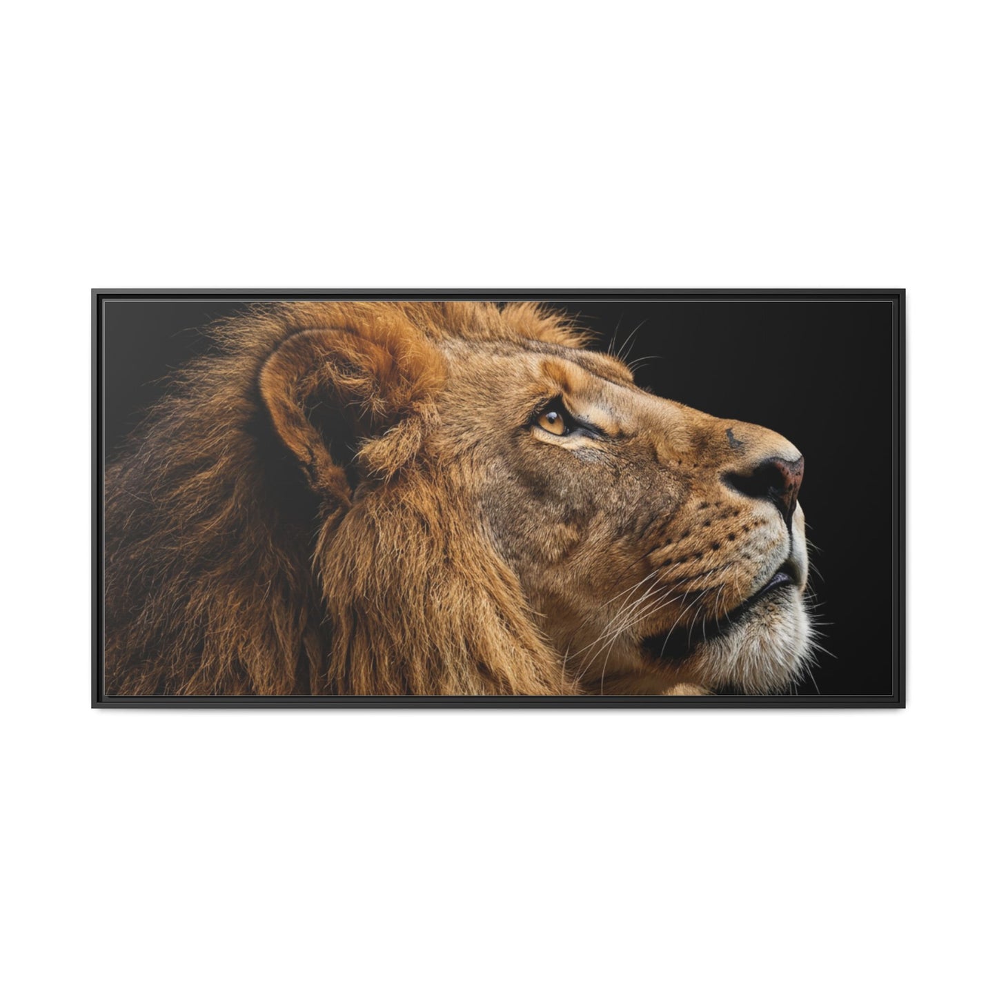 Framed Canvas Print — Lion In Colour