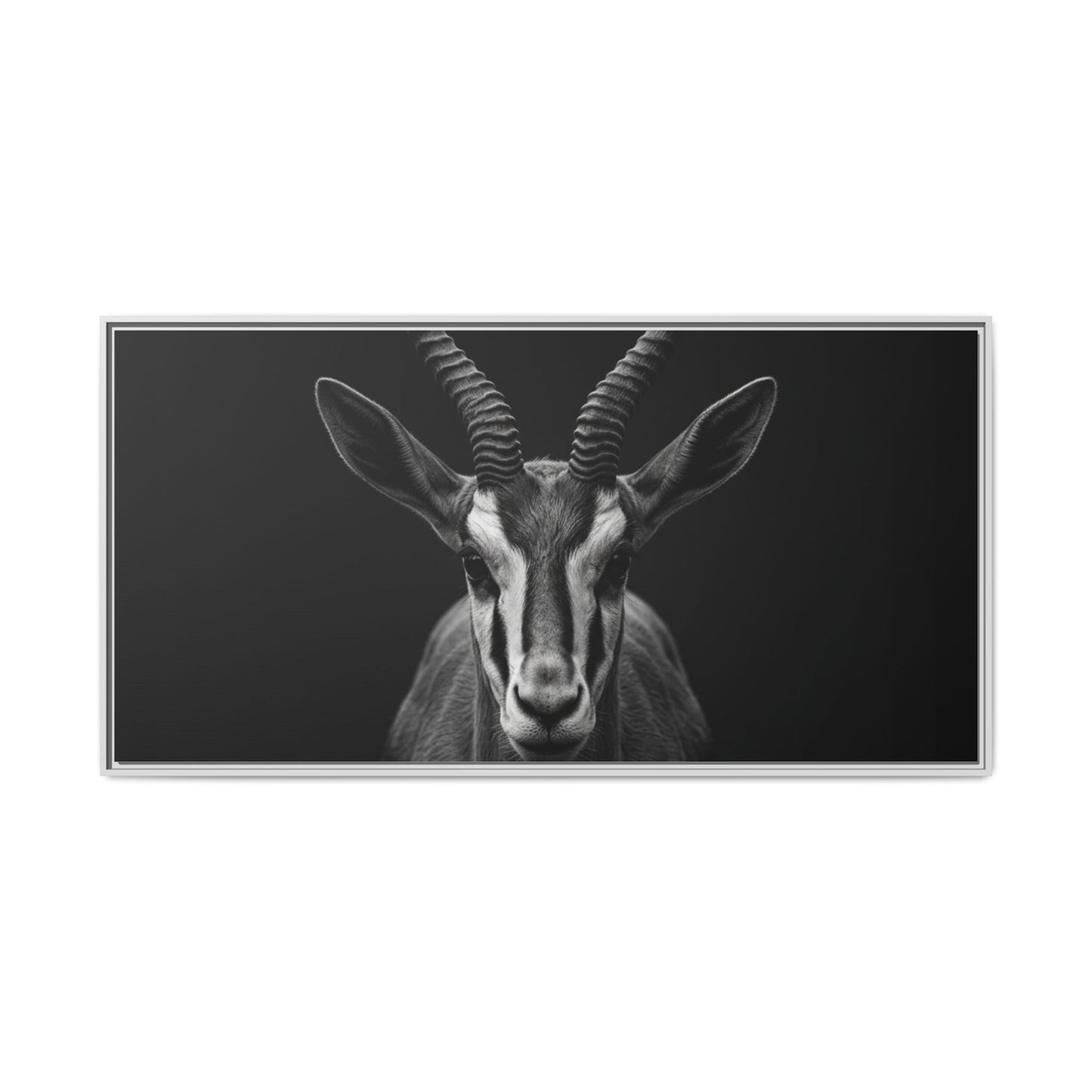 Framed Canvas Print — Springbok In Black
