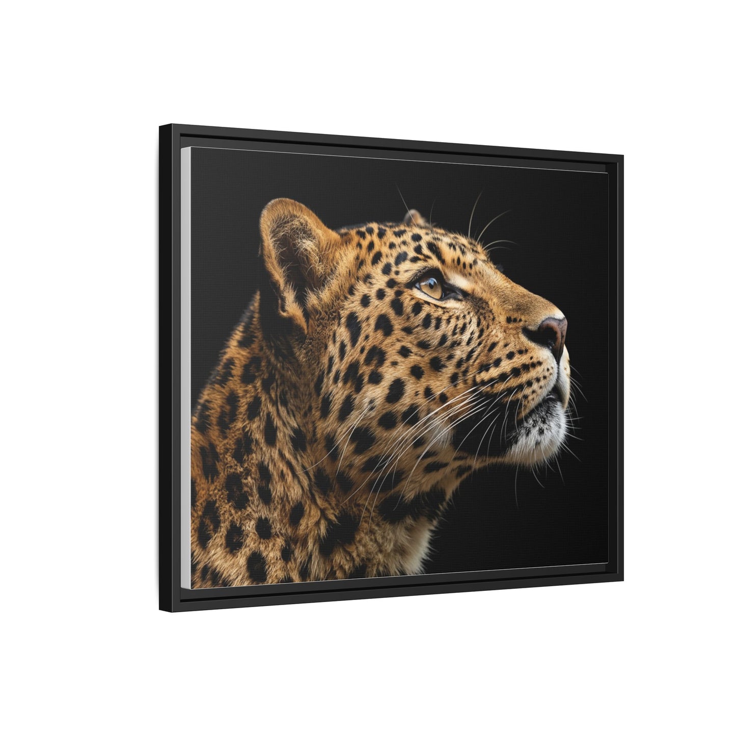 Framed Canvas Print — Leopard In Colour
