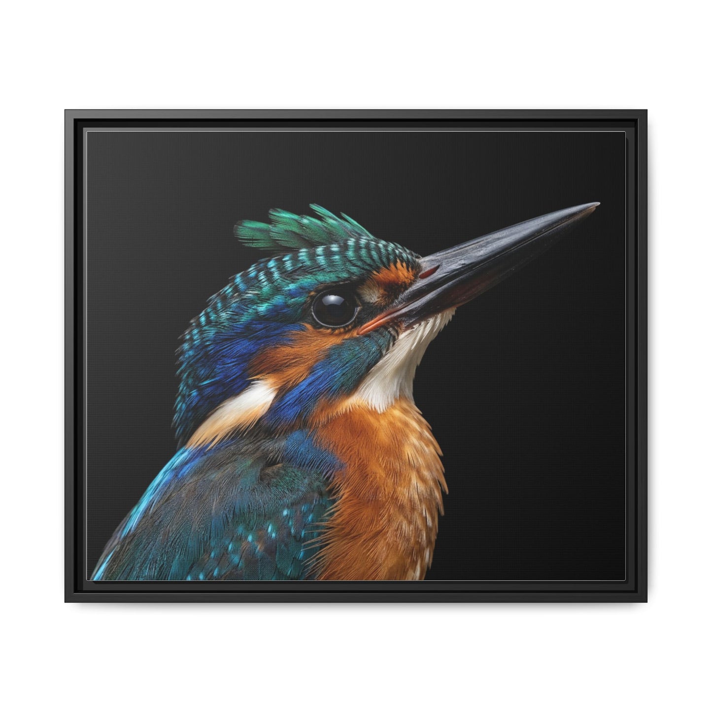 Framed Canvas Print — Malachite Kingfisher In Colour