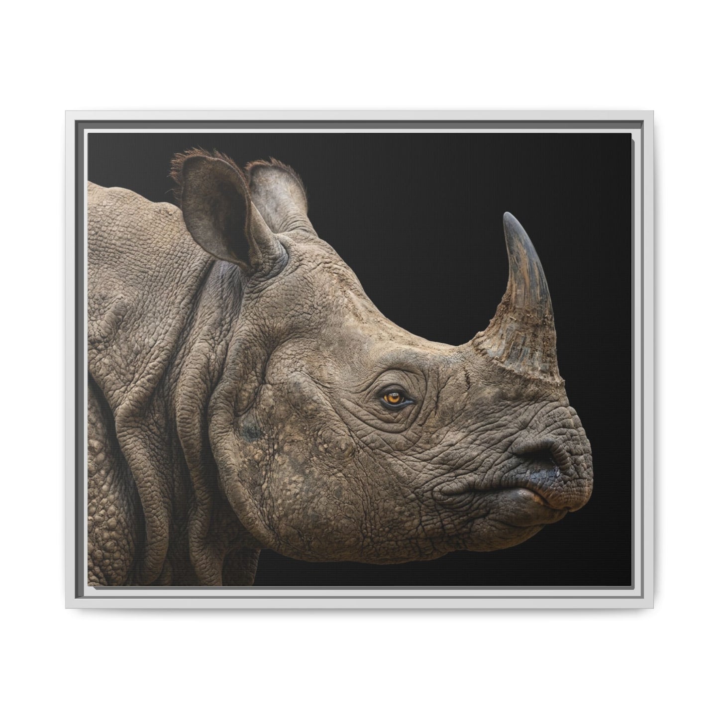 Framed Canvas Print — Rhinoceros In Colour