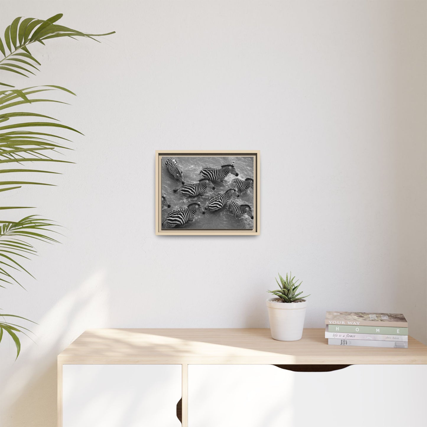 Framed Canvas Print — Zebras In The River