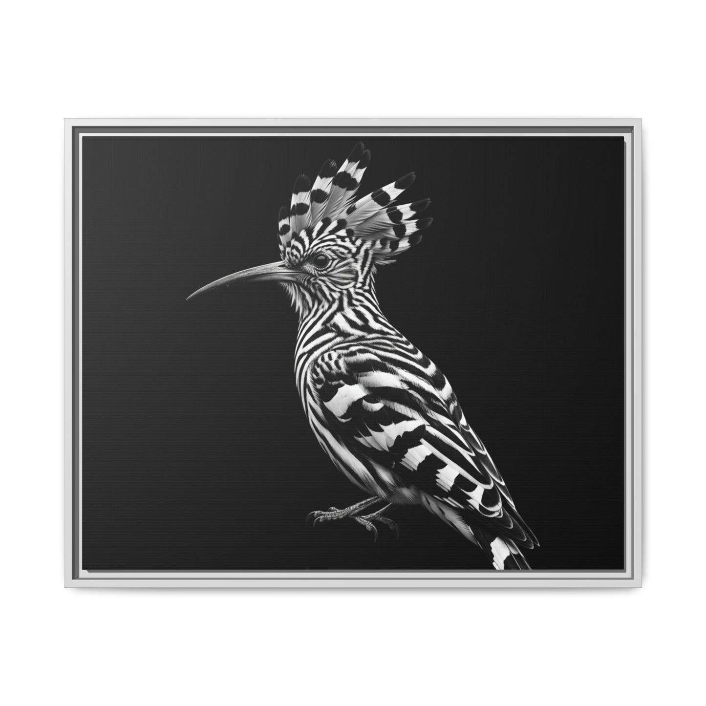 Framed Canvas Print — Afrikan Hoopoe In Black