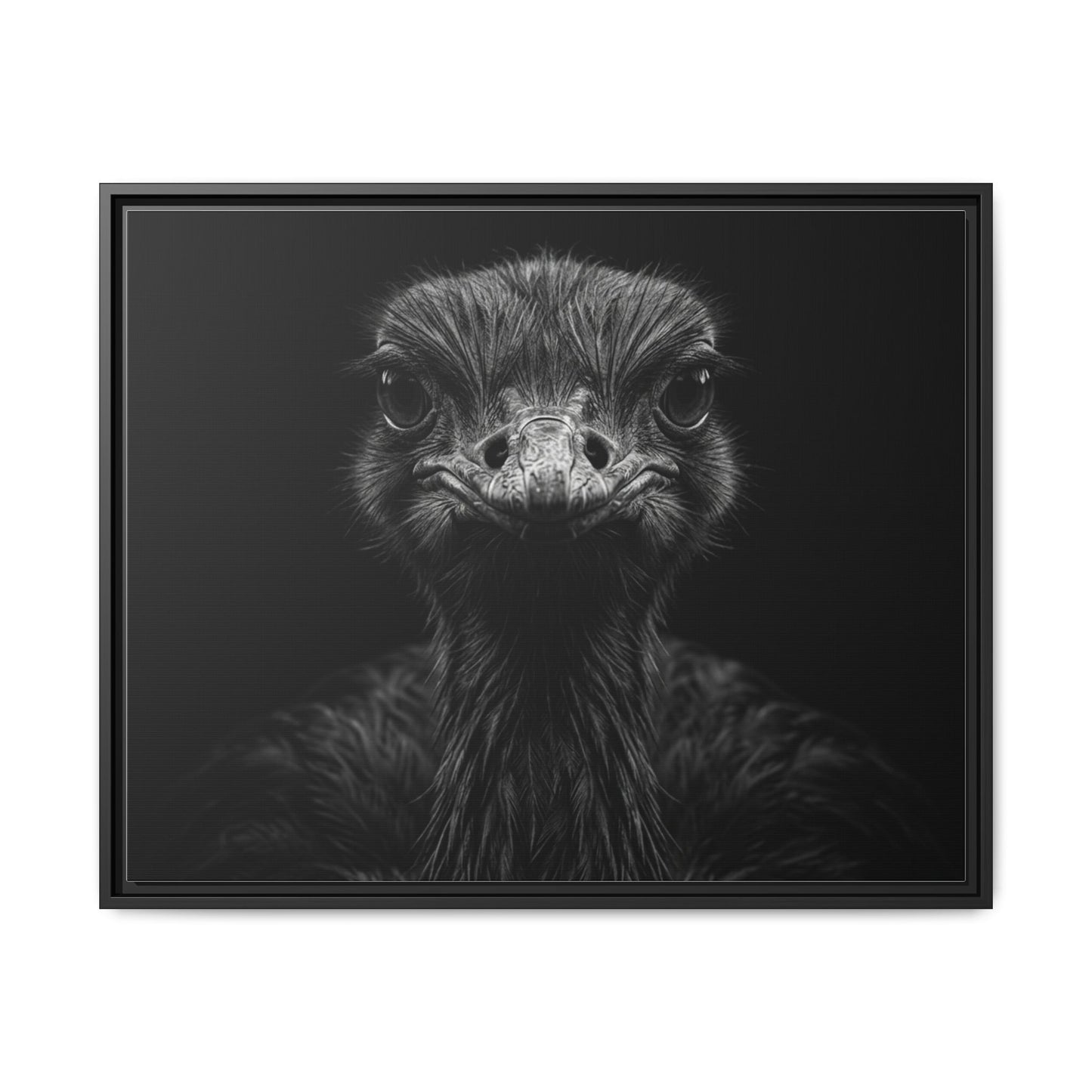 Framed Canvas Print — Ostrich In Black