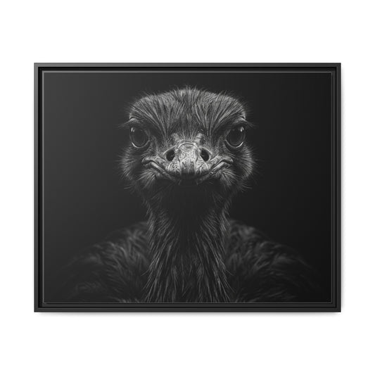 Framed Canvas Print — Ostrich In Black