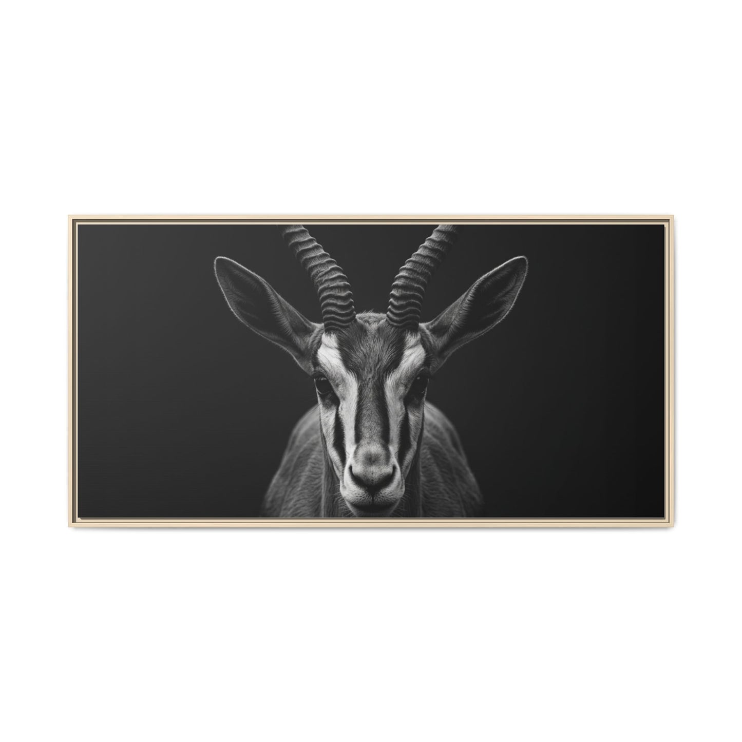 Framed Canvas Print — Springbok In Black