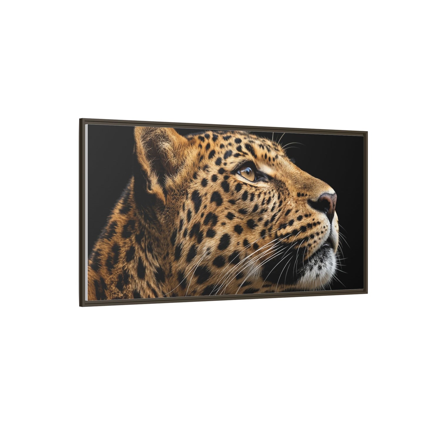 Framed Canvas Print — Leopard In Colour
