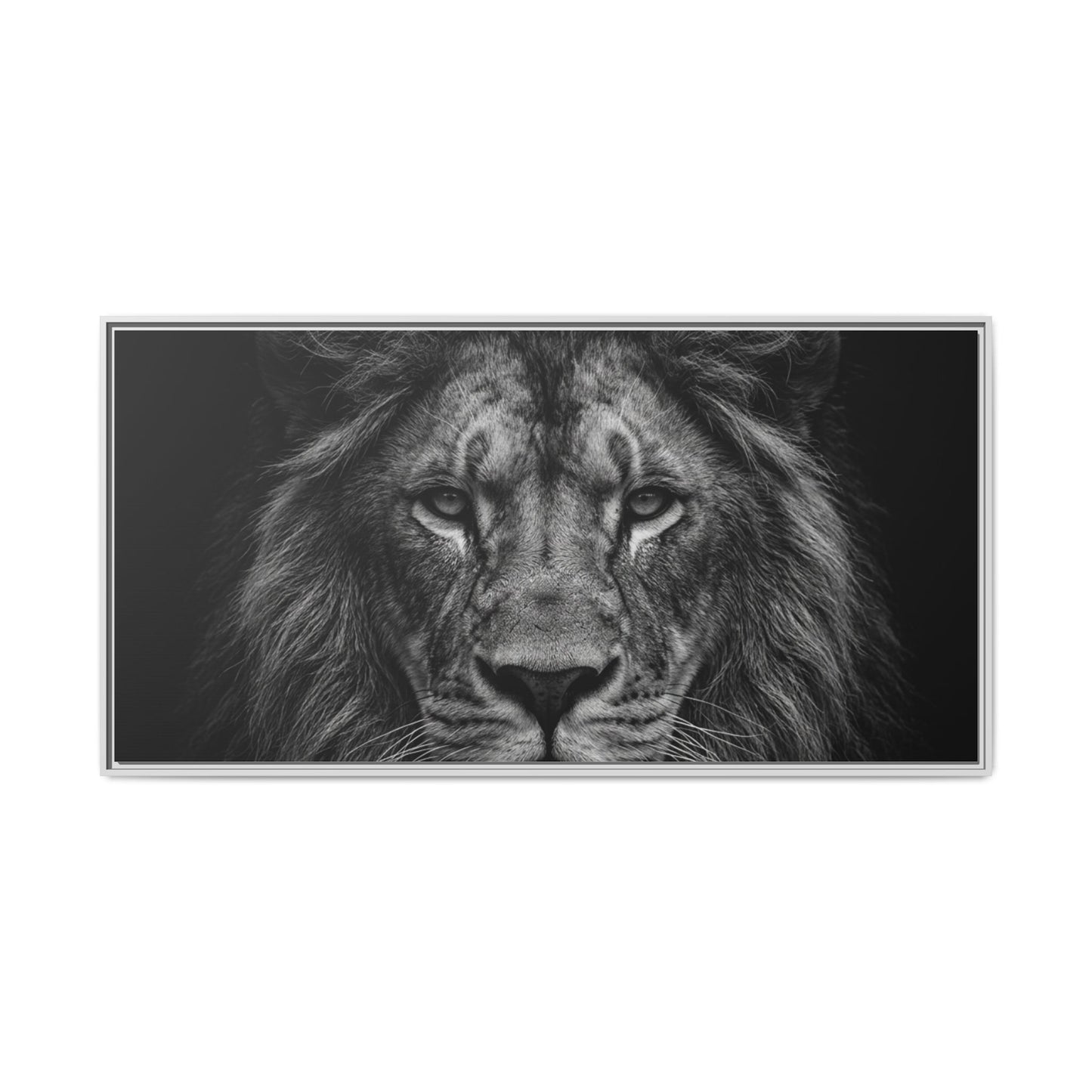 Framed Canvas Print — Lion In Black