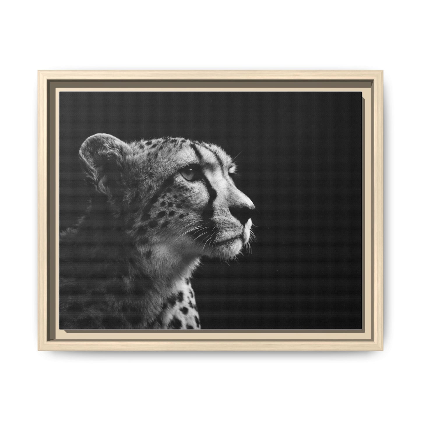 Framed Canvas Print — Cheetah Gaze