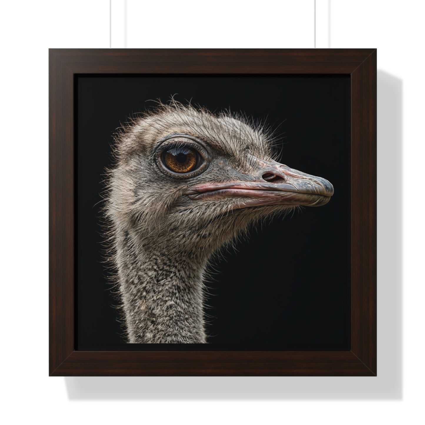 Framed Art Print – Ostrich In Colour