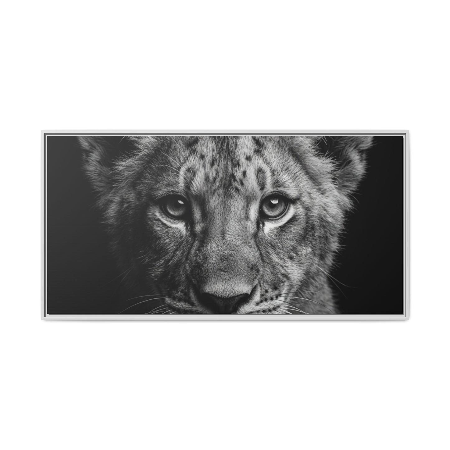 Framed Canvas Print — Lion Cub In Black