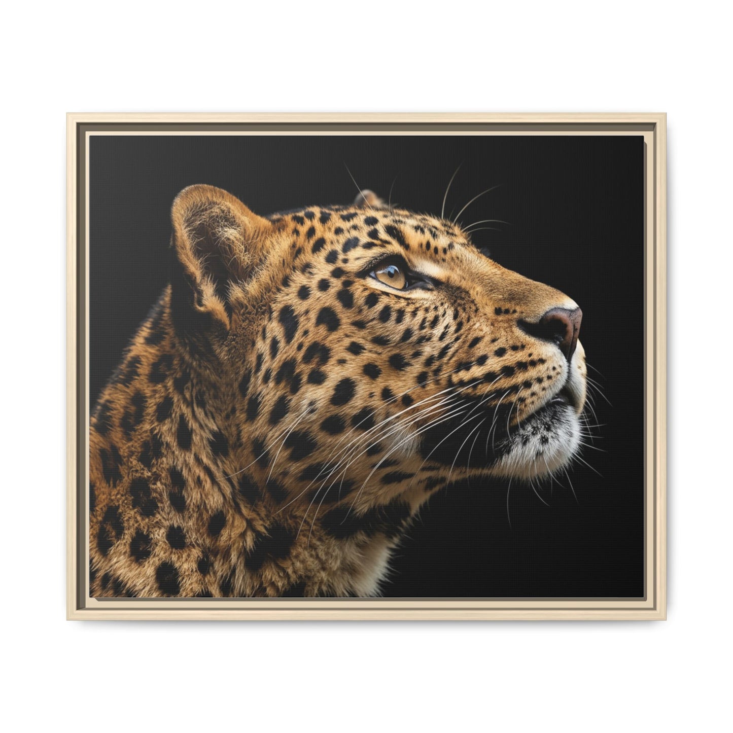 Framed Canvas Print — Leopard In Colour