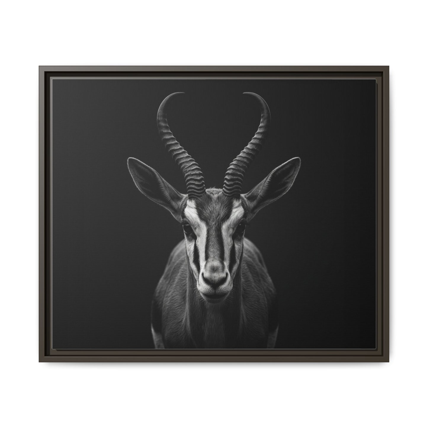 Framed Canvas Print — Springbok In Black
