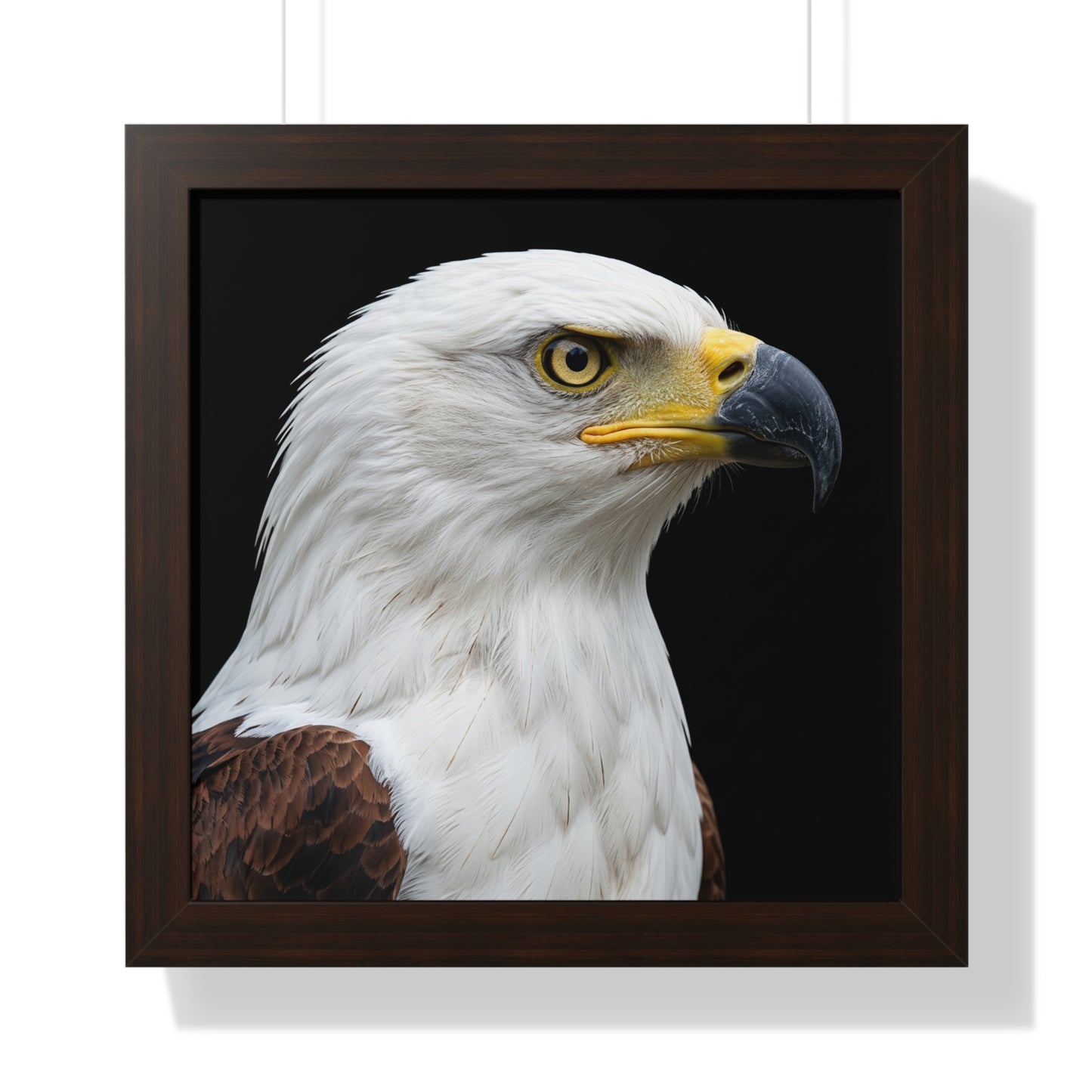 Framed Art Print – Fish Eagle In Colour