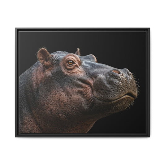 Framed Canvas Print — Hippopotamos In Colour