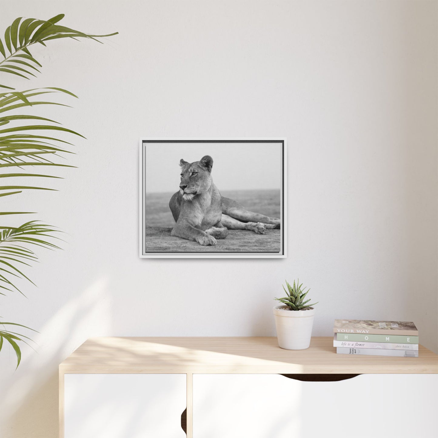 Framed Canvas Print — Lioness In Repose