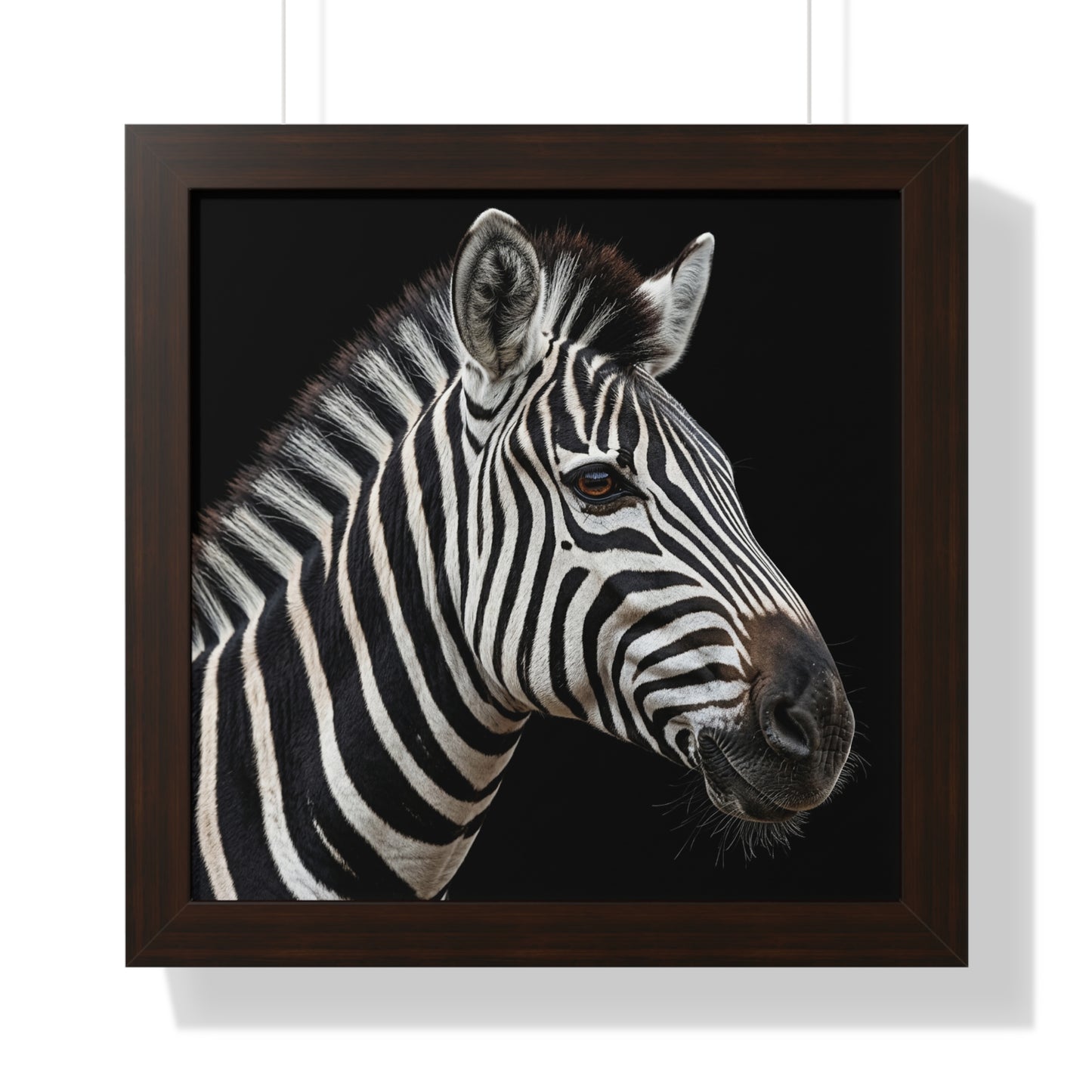 Framed Art Print – Zebra In Colour