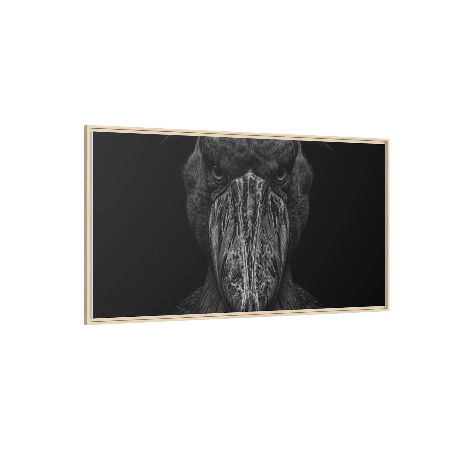 Framed Canvas Print — Shoebill Stock In Black