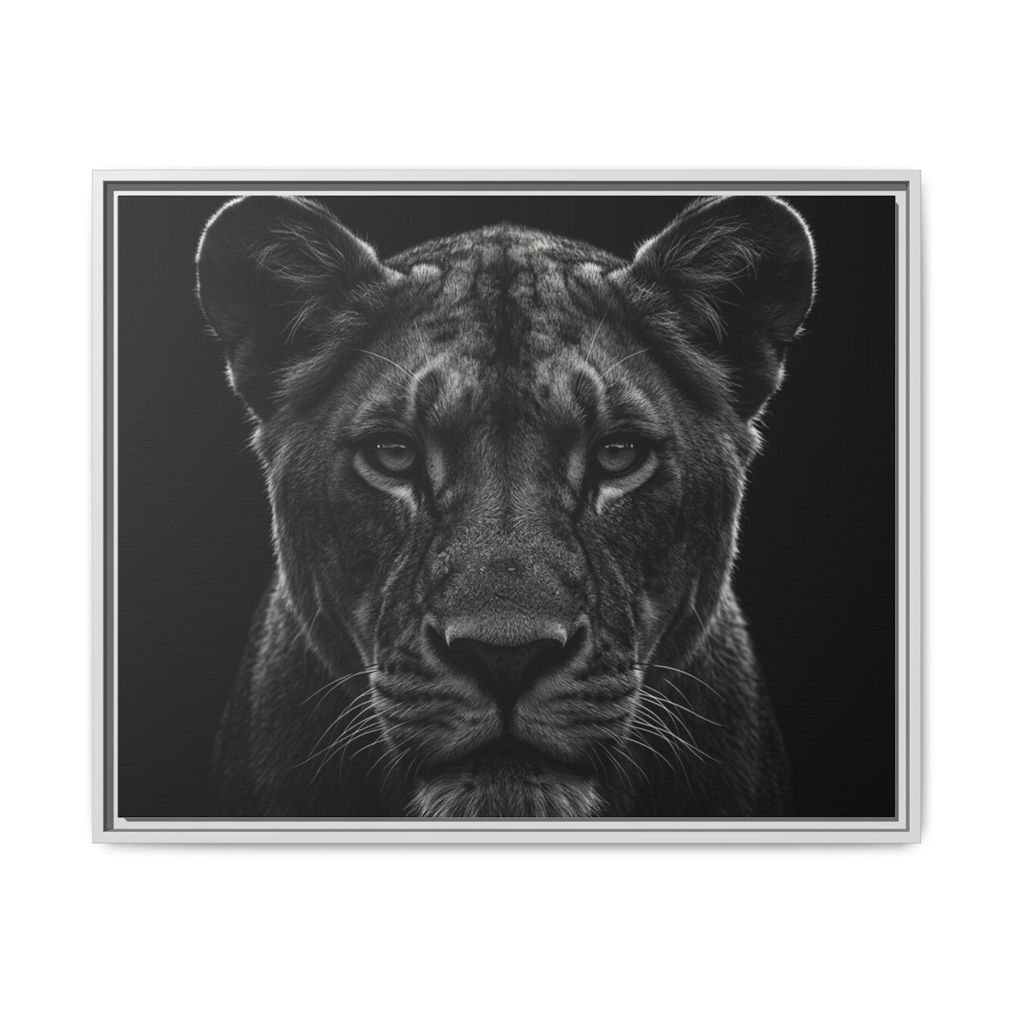 Framed Canvas Print — Lioness In Black
