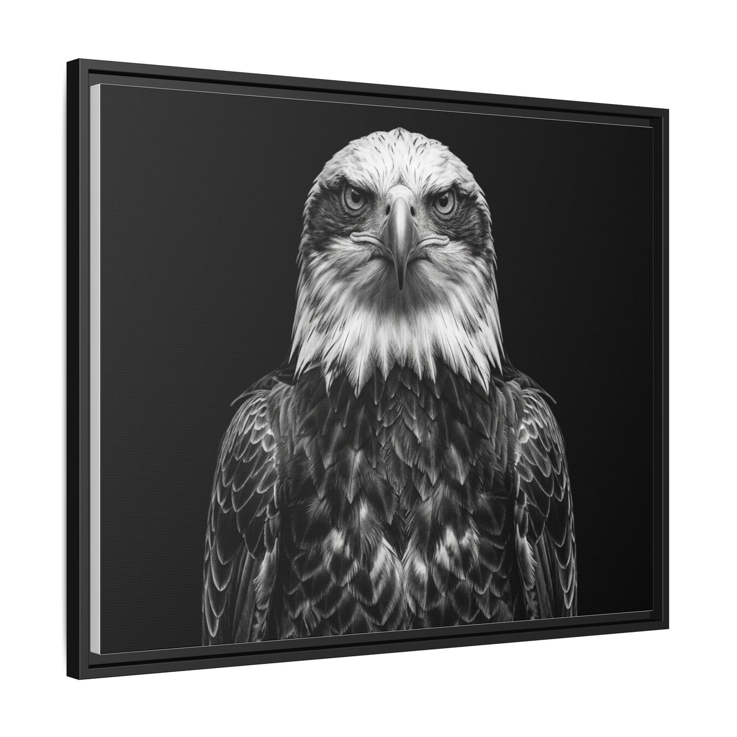 Framed Canvas Print — Fish Eagle In Black